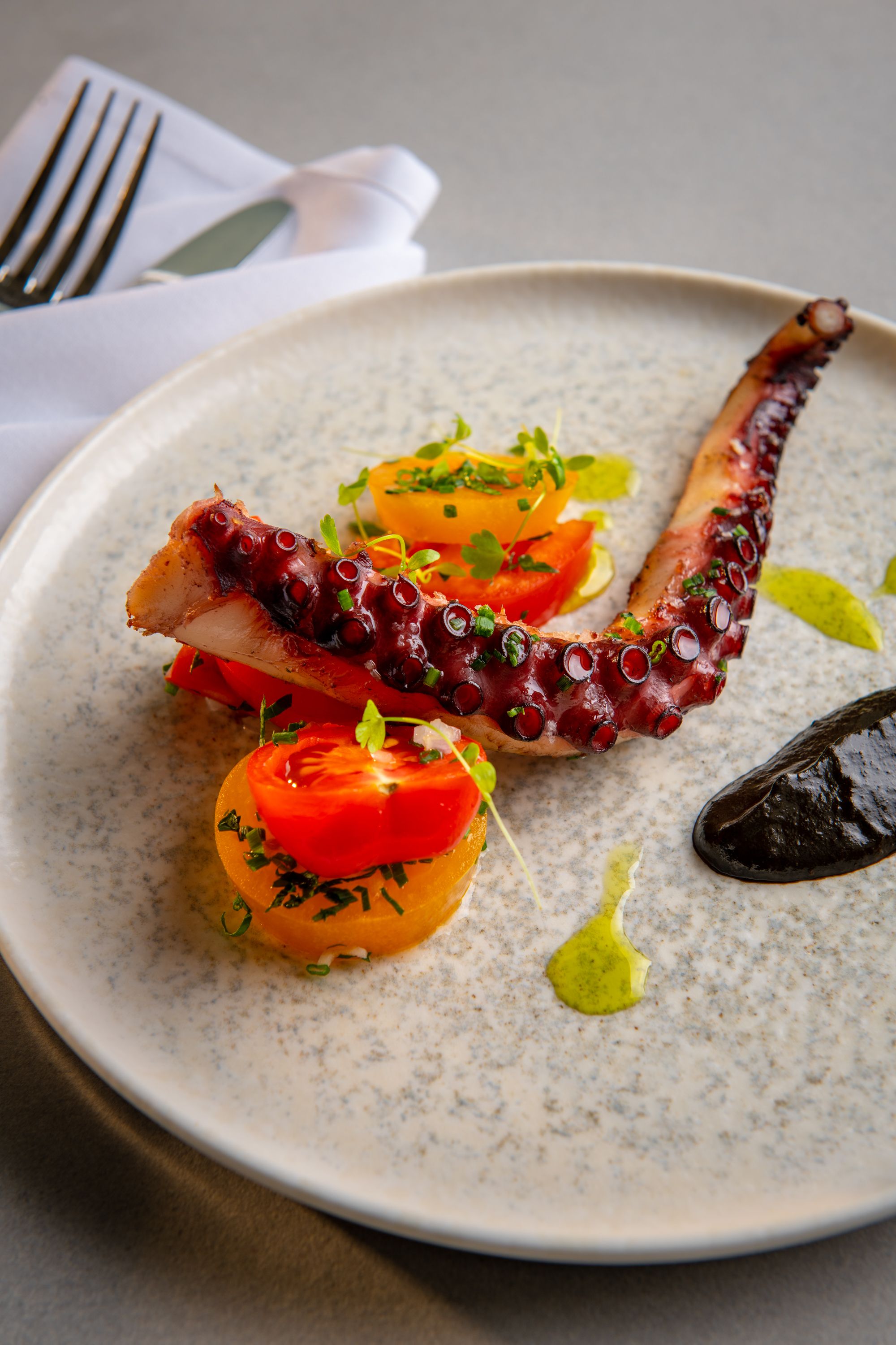 grilled octopus with tomato salad and sauce