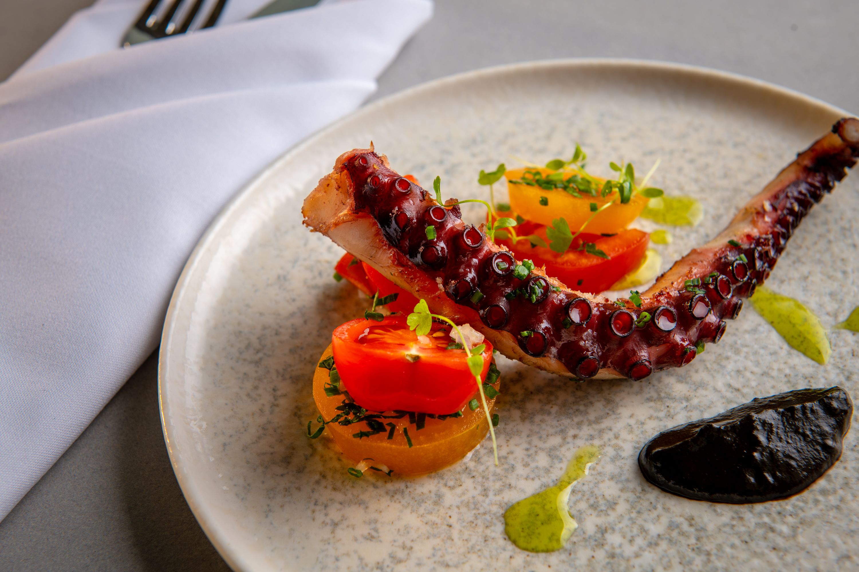 grilled octopus with tomato salad and sauce